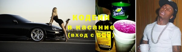 прущие грибы Балабаново