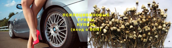 дурь Балахна