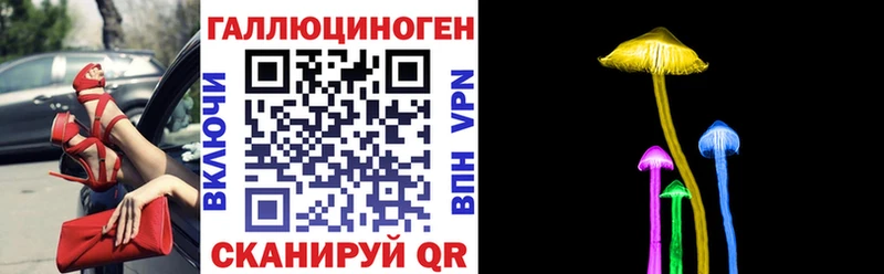 как найти наркотики Белая Холуница Галлюциногенные грибы Cubensis
